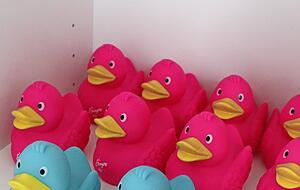 Gefragte Sammlerobjekte: Badeenten in den Farben der Gartenschau.