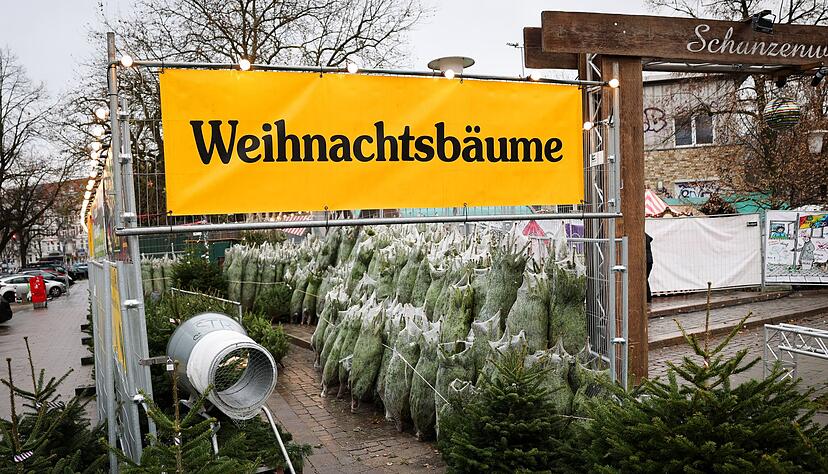 Weihnachtsbäume haben in Deutschland eigentlich immer Nadeln. (Archivbild) Weihnachtsbäume haben in Deutschland eigentlich immer Nadeln. (Archivbild)