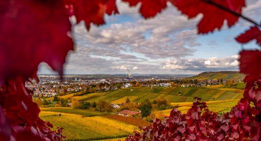 Diesen rot gerahmten Blick vom Gaffenberg auf die Stadt hat der Heilbronner Timo Goll am Samstag festgehalten. Er schreibt uns: "Das ist mein liebstes Herbstbild von diesem Jahr." Danke fürs Teilen!
