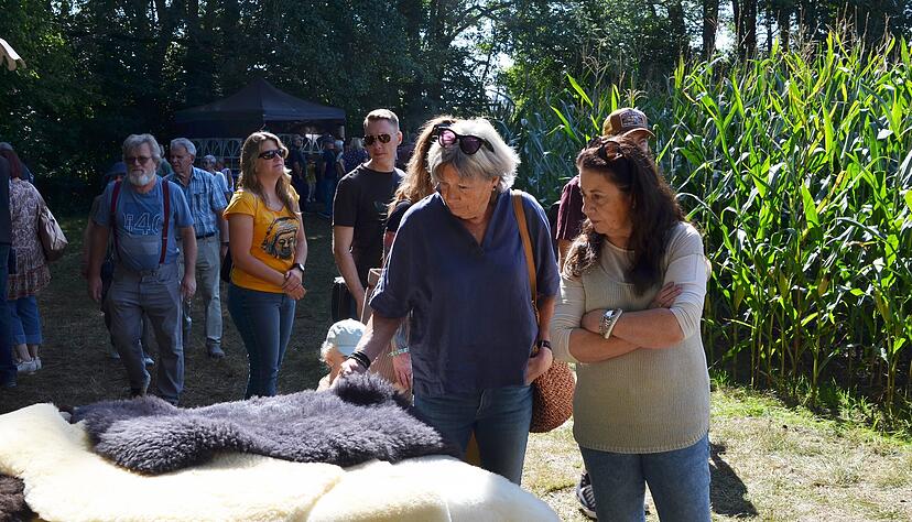 Beim 23. Schafwollfestival steht auch diesmal alles im Zeichen der Vierbeiner. Die Besucher des Festes in Oberstenfeld-Gronau können sich vor Ort unter anderem Waren aus Wolle kaufen. Beim 23. Schafwollfestival steht auch diesmal alles im Zeichen der Vierbeiner. Die Besucher des Festes in Oberstenfeld-Gronau können sich vor Ort unter anderem Waren aus Wolle kaufen.