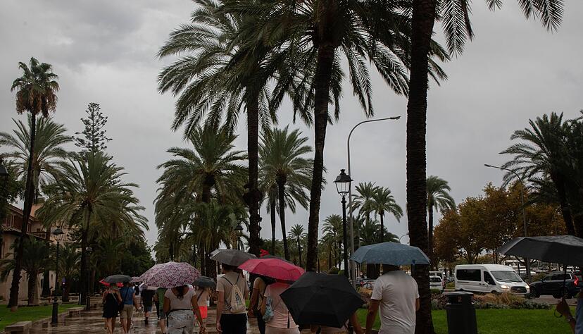 Kein Urlaubswetter auf Mallorca. Kein Urlaubswetter auf Mallorca.