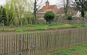 Die Neugestaltung der Kiesg&auml;rten ist Teil eines gr&ouml;&szlig;eren Projekts. Foto: Stadt
