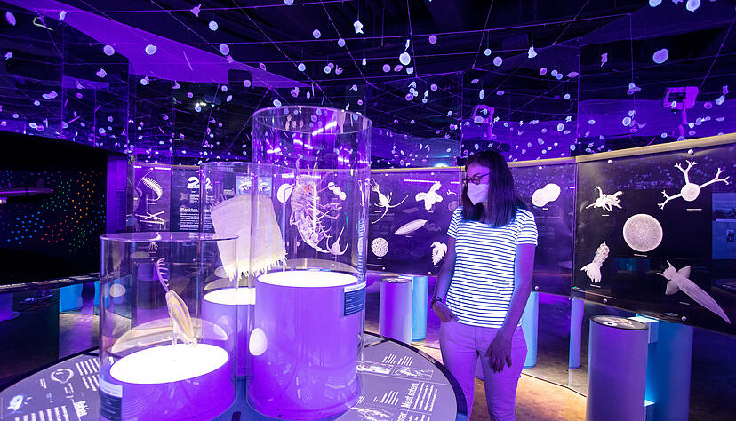 Tiefsee-Sonderausstellung in der Experimenta Tiefsee-Sonderausstellung in der Experimenta