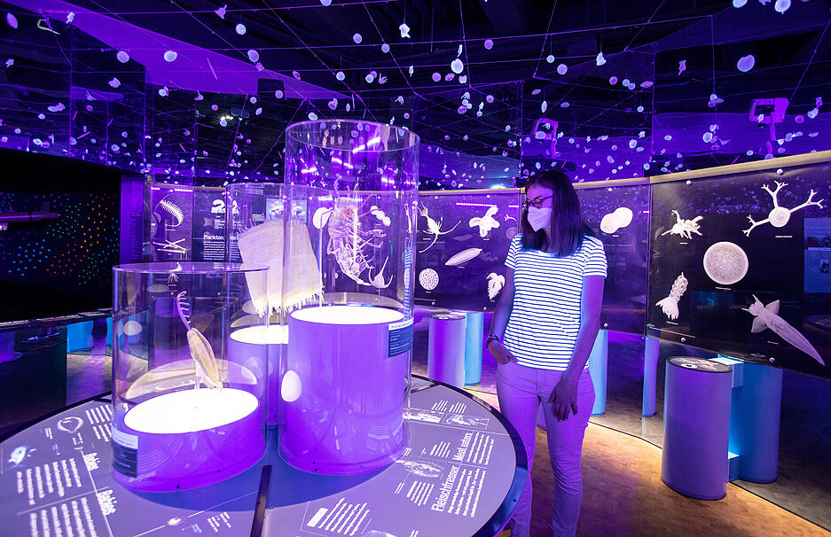 Tiefsee-Sonderausstellung in der Experimenta Tiefsee-Sonderausstellung in der Experimenta