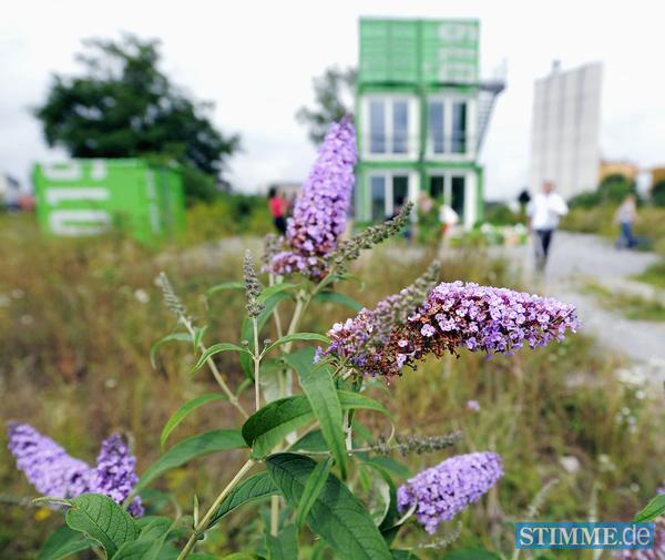 Buga-Pressekonferenz | 08.08.