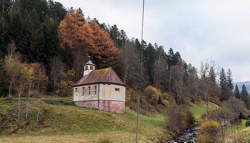 Die beiden bisherigen Teilstücke des Nationalparks sollen verbunden werden. (Archivbild) Die beiden bisherigen Teilstücke des Nationalparks sollen verbunden werden. (Archivbild)
