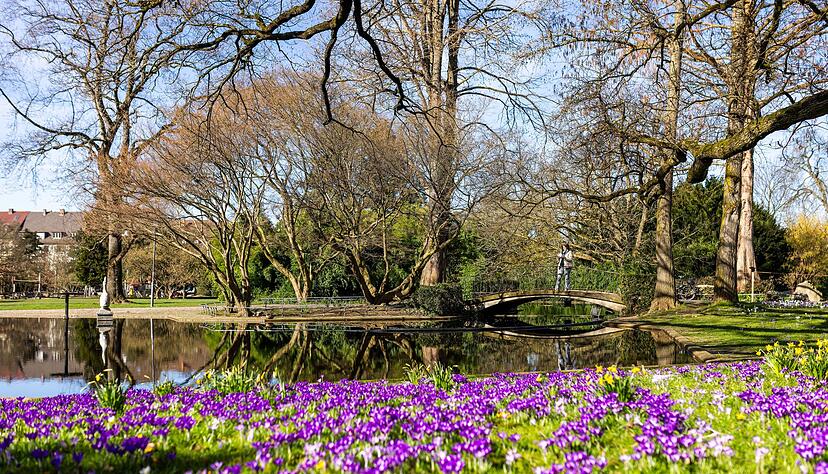 Es k&ouml;nnte ein historisch warmer Tag in Baden-W&uuml;rttemberg werden.