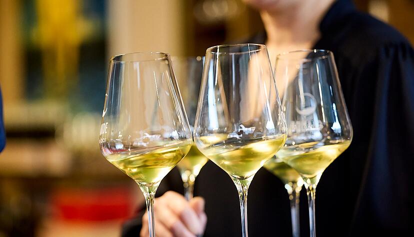 Weine aus pilzresistenten Rebsorten stehen auf der ProWein 2024 im Fokus. Das Deutsche Weininstitut (DWI) wird auf der Messe die drei «Best of PIWI» küren.