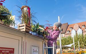 "Wir greifen die Buga-Farben auf", erklärt Lisa Ghizelea von Blumen Ansel, die gestern bereits um 6.45 Uhr mit der Dekoration der WG-Stände begann.