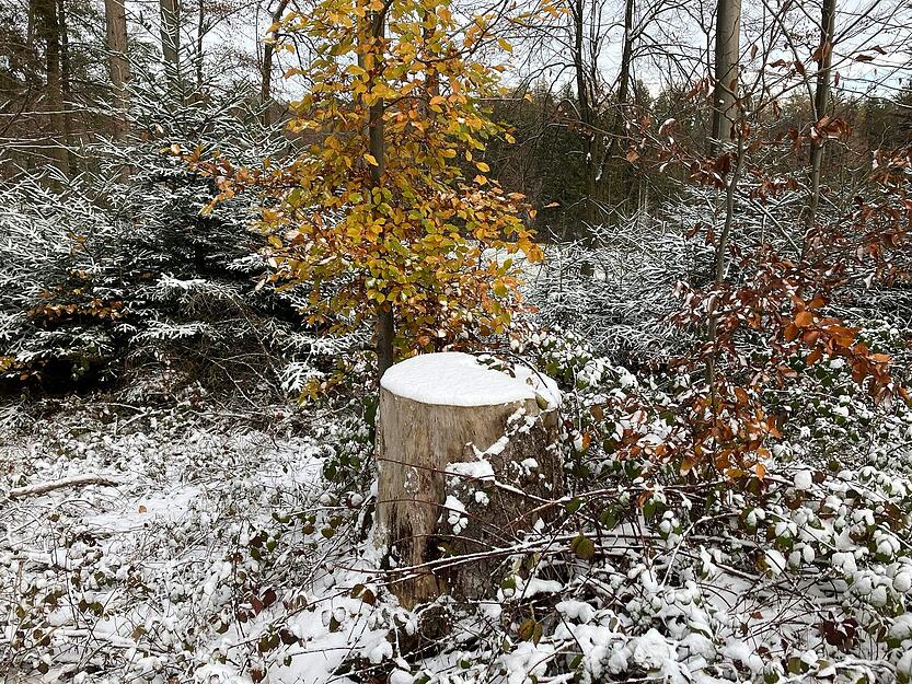 Besonders Autofahrer sollten vorsichtig sein, wenn sie auf den schneebedeckten Straßen unterwegs sind.