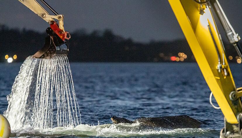 Für die Rettung des Wals war eine Rinne ausgehoben worden. Für die Rettung des Wals war eine Rinne ausgehoben worden.