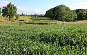 Risiko Ackerflächen auf der Höhe: In dieser Senke sammelte sich das Wasser und schoss den Orlacher Bach hinab. Risiko Ackerflächen auf der Höhe: In dieser Senke sammelte sich das Wasser und schoss den Orlacher Bach hinab.