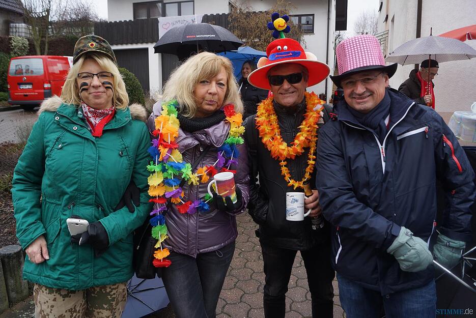 Faschingsumzug Rohrbach | 31.1.