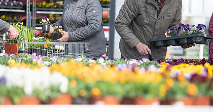 Kunden kaufen im Pflanzen Mauk Gartencenter Blumen ein. Im Rahmen der ersten Corona-Lockerungen dürfen zum Frühlingsstart Hobby-Gärtner in mehreren Bundesländern wieder in Gartenmärkten stöbern. +++ dpa-Bildfunk +++