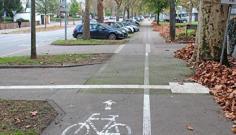 Der Fahrradweg in der Karlstraße, der ab der Siebennussbaumstraße bis zur Allee auf der Straße verläuft, sorgt derzeit für Irritationen. Foto: Christoph Kraft