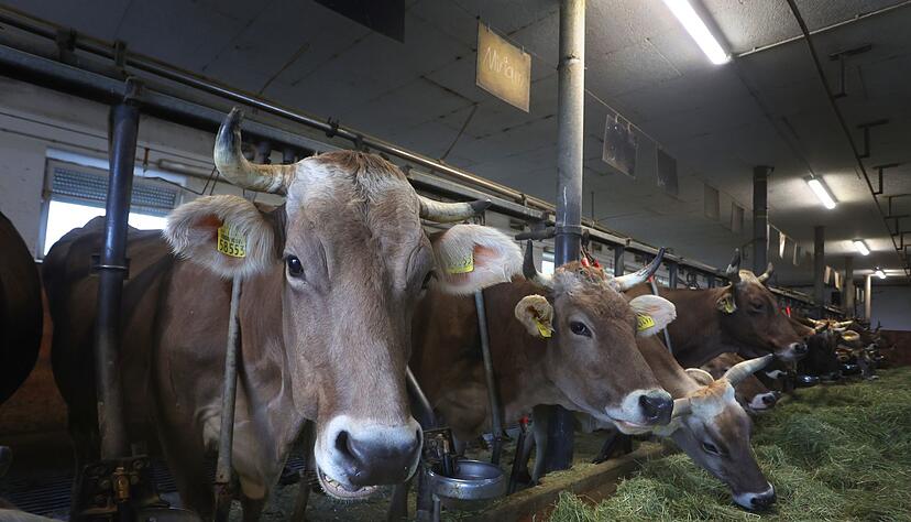 Wer aufs Land zieht, schätzt die Ruhe und die gute Luft. Dass die Landwirtschaft mit allem Drum und Dran dazugehört, mag nicht jeder akzeptieren.