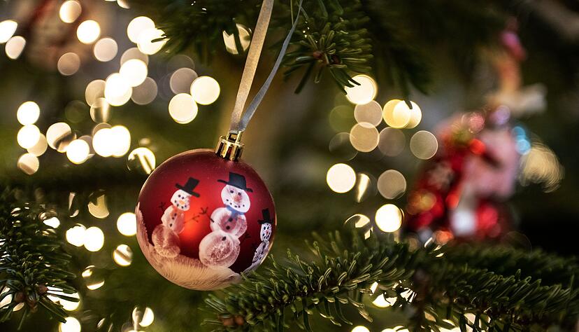 Weihnachtsbäume sind für viele Tiere ein schönes Spielzeug im Zoo. Weihnachtsbäume sind für viele Tiere ein schönes Spielzeug im Zoo.