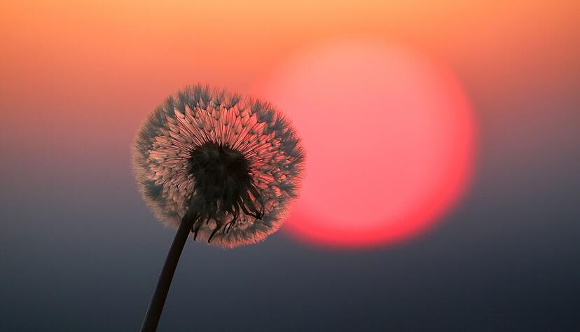 Ist es das schon? Viele Frauen sind sich anfangs unsicher, ob das nun schon der Beginn der Wechseljahre ist.