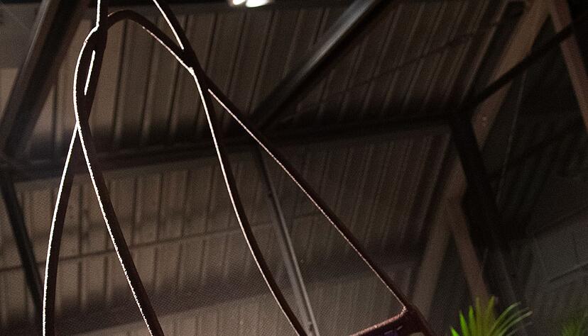 Einfach Abh&auml;ngen: In einem geflochtenen H&auml;ngesessel l&auml;sst es sich auch im Alltag wunderbar entspannen.