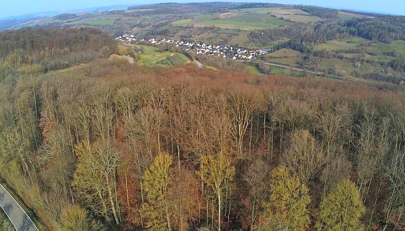In diesem Waldstück oberhalb von Eberstal soll ein Mobilfunkmast gebaut werden. Telefónica, Telekom und Vodafone wollen Antennen darauf installieren.
Foto: Götz Greiner
