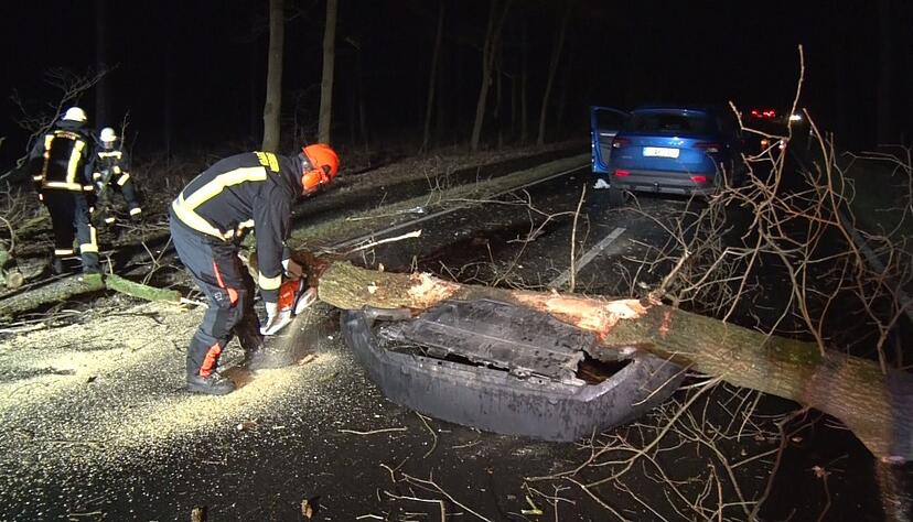 Im Landkreis Emsland fuhr eine Autofahrerin mit ihrem Wagen gegen einen Baum. Sie wurde leicht verletzt. Im Landkreis Emsland fuhr eine Autofahrerin mit ihrem Wagen gegen einen Baum. Sie wurde leicht verletzt.