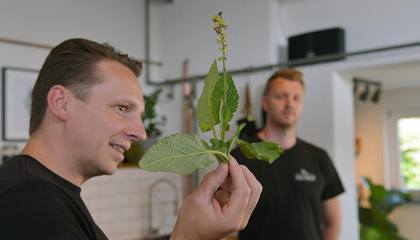 Lesersommer Gin-Verkostung