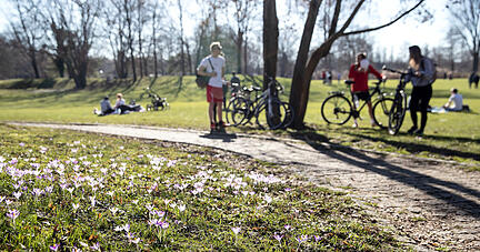 Frühlingshaftes Wetter in Heilbronn lockt die Menschen nach draußen
