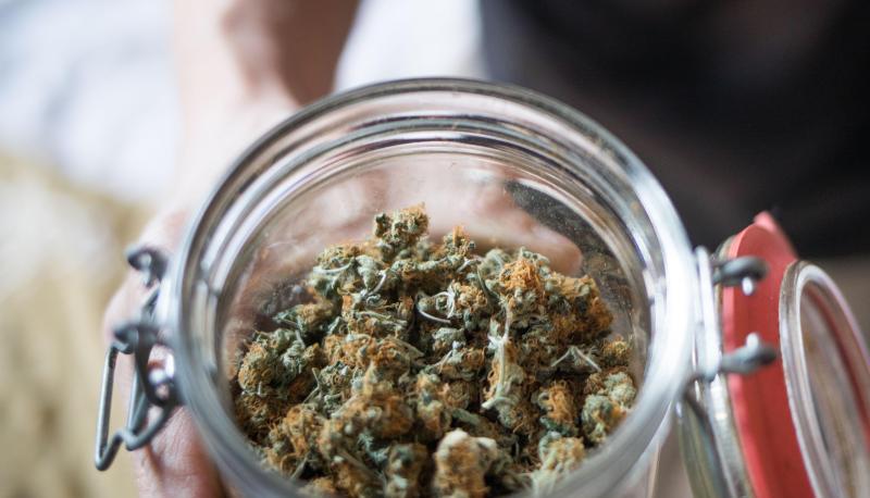 Der Bundestag entscheidet sich für die Cannabis-Legalisierung. Der Bundesrat könnte legalem Kiffen aber noch im Weg stehen. Der Bundestag entscheidet sich für die Cannabis-Legalisierung. Der Bundesrat könnte legalem Kiffen aber noch im Weg stehen.