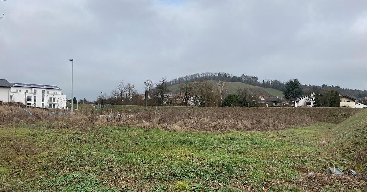 Erste Investoren zeigen bereits Interesse - STIMME.de