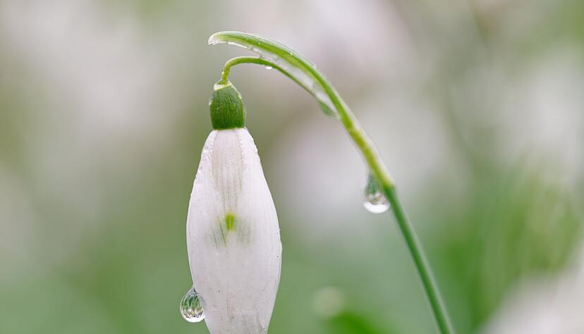 Nach fr&uuml;hlingshaften Temperaturen schl&auml;gt das Wetter im S&uuml;dwesten um. (Archivbild)
