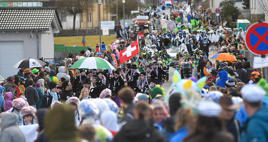 Zahlreiche Laufgruppen und Musikvereine begeistern das Publikum entlang der Umzugsstrecke.