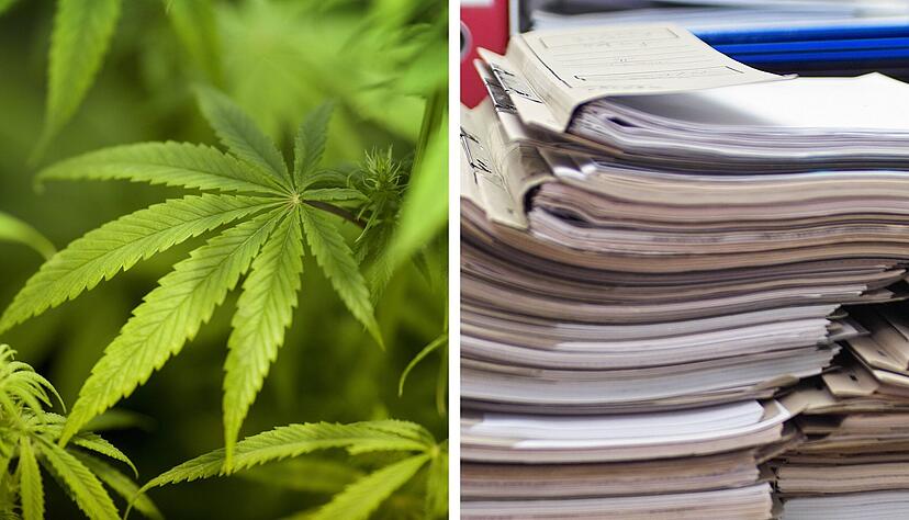Die Bürokratie macht es den Cannabis-Clubs in Deutschland nicht leicht.