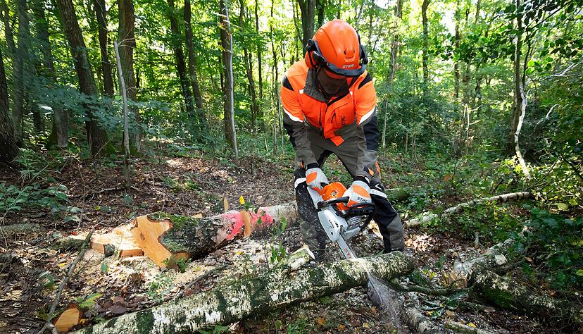 Kr&auml;ftige St&auml;mme, starkes Ger&auml;t: Wer B&auml;ume mit einem Durchmesser von mehr als zehn Zentimeter bezwingen will, muss zur Benzin-Motors&auml;ge greifen.