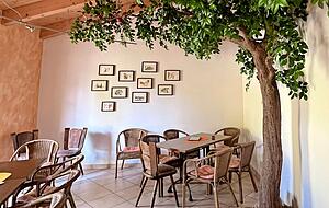 Lauschig ist es nicht nur auf der Terrasse, sondern auch im Nebenzimmer, wo die Aquarelle von Tochter Sabine h&auml;ngen und ein t&auml;uschend "echter" Baum steht.