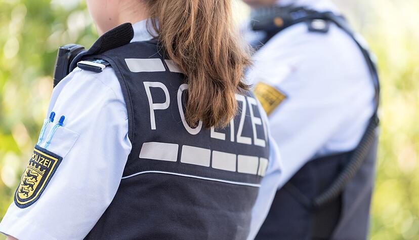Eine Bande von Dieben soll im Raum Heilbronn Dutzende von Kompletträdern gestohlen haben. (Symbolbild)