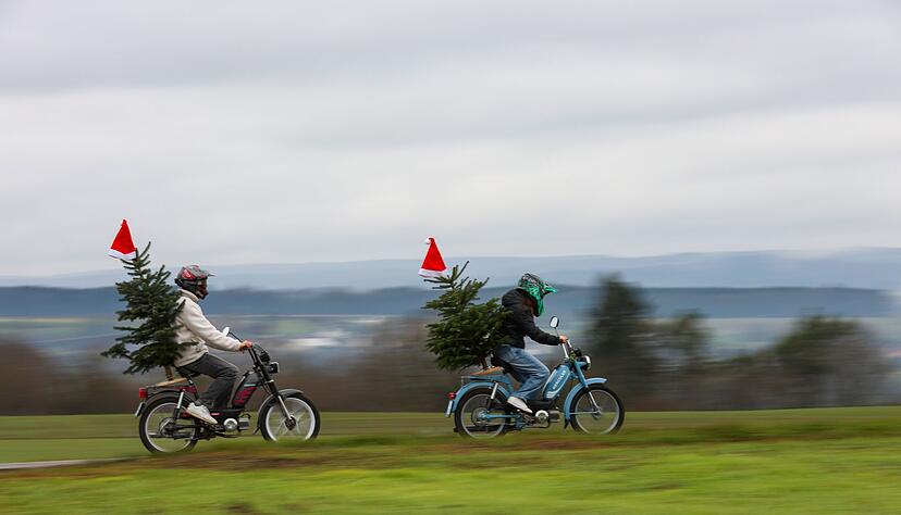 Ob die Weihnachtsmützen als Markierung da noch helfen? Wer einen Baum nicht gut sichert und dann einen Unfall baut, kann Probleme bekommen.