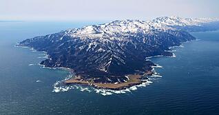 Ein Erdbeben der St&auml;rke 7,4 hat nach Angaben der US-Erdbebenwarte USGS Japan ersch&uuml;ttert. (Symbolbild)