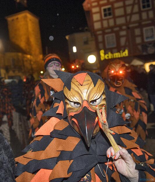 Nachtumzug Eppingen 30.01