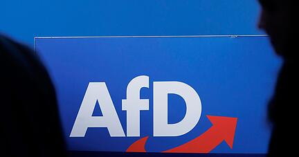 Die Debatte &uuml;ber ein Verbot der AfD ist in vollem Gange.