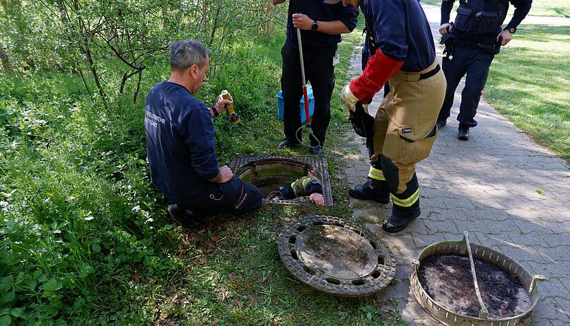Das Tier war vermutlich bereits l&auml;ngere Zeit in der Kanalisation gefangen.