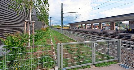Zwischen den Bahngleisen der B&ouml;ckinger Haltestelle Sonnenbrunnen und der R&uuml;ckseite der benachbarten Lidl-Filiale wartet ein angelegter Radweg auf seine Fertigstellung.
Foto: Mario Berger