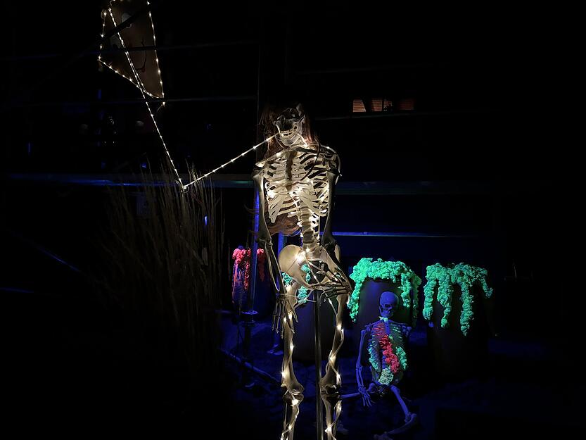 Das Halloween-Horrorhaus in Unterheinriet ist längst ein Geheimtipp für alle, die den Nervenkitzel lieben. Das Halloween-Horrorhaus in Unterheinriet ist längst ein Geheimtipp für alle, die den Nervenkitzel lieben.