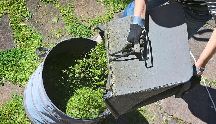 Gemähtes Gras lässt sich gut zwischen den Pflanzen verteilen - eine dünne Schicht reicht vollkommen aus.