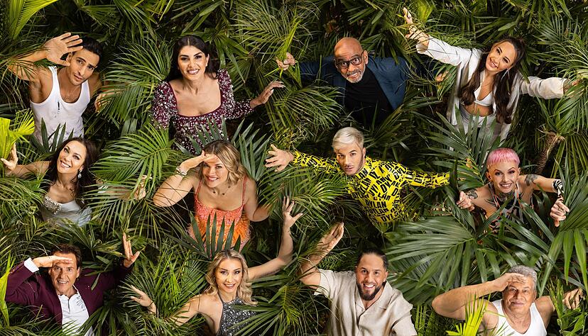 Die Teilnehmer der 18. Staffel der RTL «Ich bin ein Star - Holt mich hier raus!» . Die Teilnehmer der 18. Staffel der RTL «Ich bin ein Star - Holt mich hier raus!» .