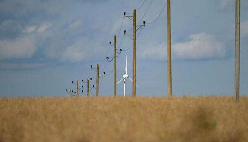 Baden-W&uuml;rttemberg hat laut WWF Nachholbedarf in Sachen Energiewende. (Archivbild)