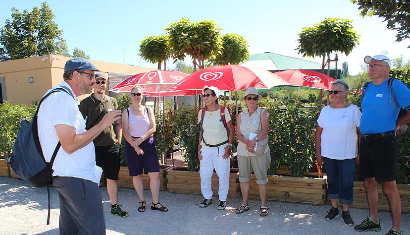 Lesersommer Mostbirnenweg Lesersommer Mostbirnenweg