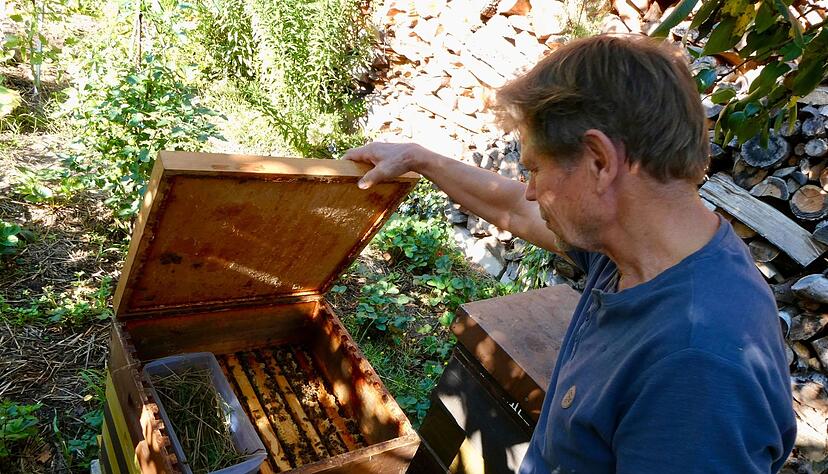 K&auml;pnick schaut regelm&auml;&szlig;ig, ob es seinen Bienen gut geht. (Archivbild)