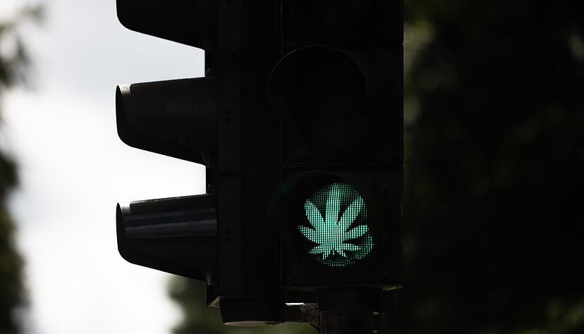 Grünes Licht für die Cannabis-Legalisierung: Der Bundestag hat die kontrollierte Freigabe beschlossen.