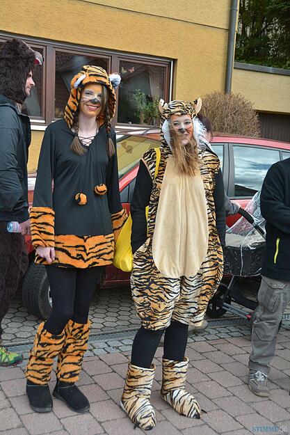 Rosenmontagsumzug Erlenbach I | 08.02. Rosenmontagsumzug Erlenbach I | 08.02.