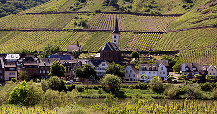 Zum Themendienst-Bericht von Bernd F. Meier vom 16. Juli 2020: Winzerdorf Bremm: Nahe der Kirche beginnt der Calmont-Klettersteig.